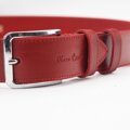 Pierre Cardin PSN 6210