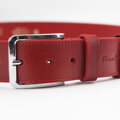 Pierre Cardin PSN 6210