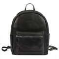 Pierre Cardin YS12 200121