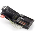 Peterson PTN 304Z 2-1-1