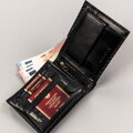 Peterson PTN 304-CA