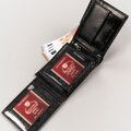 Peterson PTN 304-CA