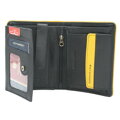Peterson PTN 303.03