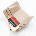 Peterson PTN 423229-BF SILVER