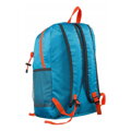 Peterson PTN 23006