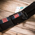 Peterson PTN 304P-03