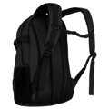 Peterson PTN PWY-02