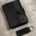 Peterson PTN SET-M-N4L-D