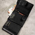 Peterson PTN SET-M-N4L-D