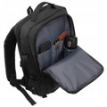 Peterson PTN 77706