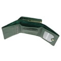 Gregorio FRL-132