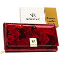 Rovicky RH-20A-1-DBF