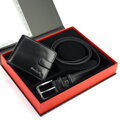 Pierre Cardin ZP-011