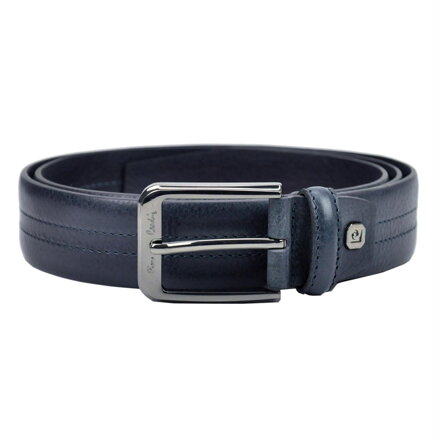 Pierre Cardin GF 8004