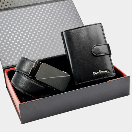 Pierre Cardin ZG-205-BA