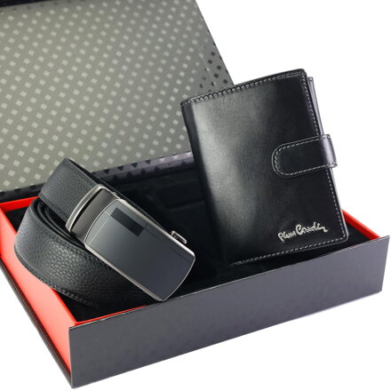 Pierre Cardin ZG-209-BA