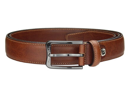 Pierre Cardin 3101/30