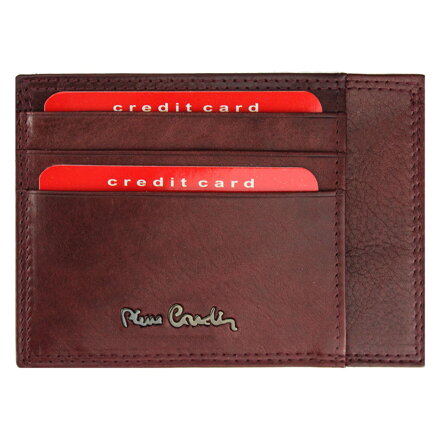 Pierre Cardin EKO06 P020
