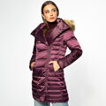 Wittchen 95-9D-403-P