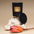 Świeca sojowa z podwójnym knotem duża Royal Oudh & Patchouli 1-HC-101-1