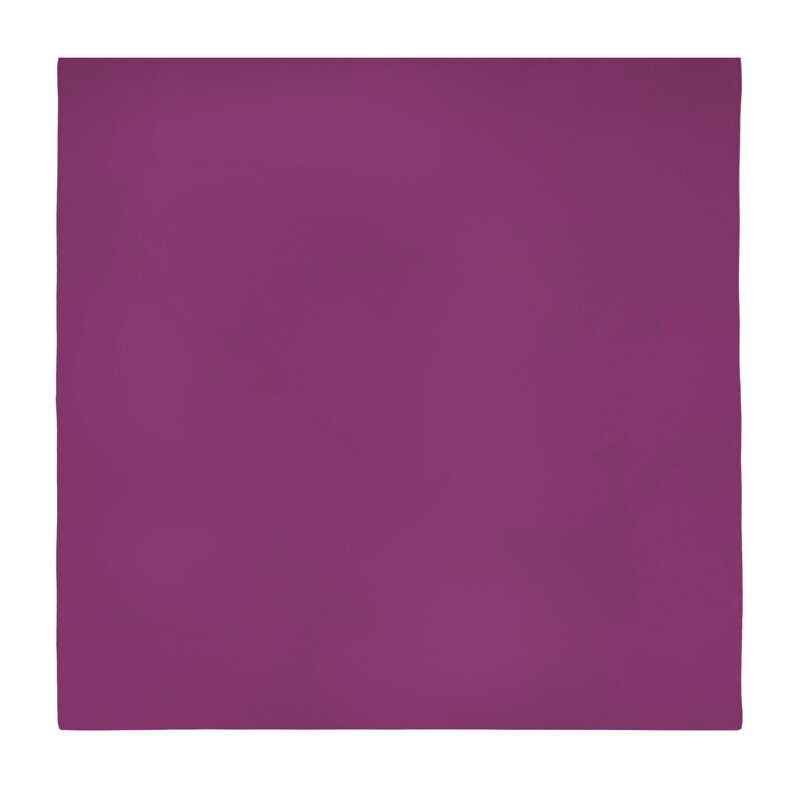 Damska apaszka jedwabna 95-7D-S01-36